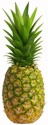 pineapple.jpg pineapple.jpg